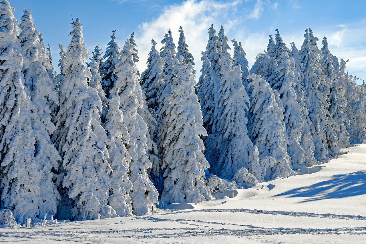 Śnieg!