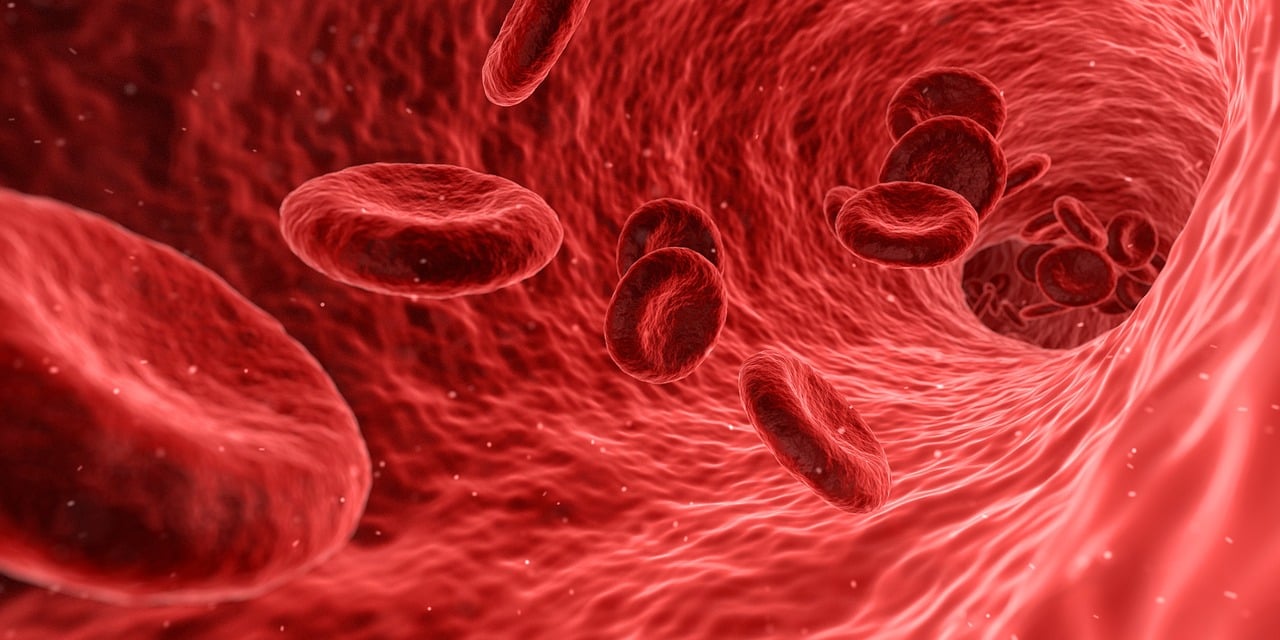 matura z biologii