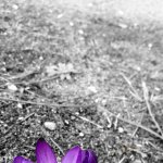 teczowarzeczywistosc