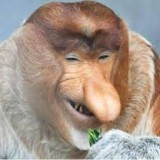 06majetny_janusz20012001