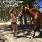 horseylifemission